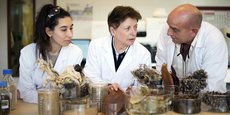 La chercheuse du CNRS Claude Grison (au centre) et son équipe ont mis au point un procédé d'extraction des éléments métalliques stockés dans les feuilles et les racines de certaines plantes pour les réutiliser ensuite comme écocatalyseurs.