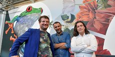 Les trois cofondateurs de Treefrog : Maxime Feyeux, Jean-Luc Treillou et Kevin Alessandri, avec au second plan leur totem peint sur le mur : la rainette (treefrog).