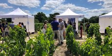 200 acteurs de la filière viticole étaient réunis ce 28 juin au château Luchey-Halde de Mérignac, près de Bordeaux, pour découvrir une quarantaine d'innovations technologiques