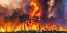 En l'espace d'une semaine, plus de 19.000 hectares ont brûlé et la situation n'est toujours pas fixée.