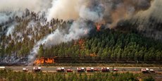 1.100 pompiers combattent la reprise de l'incendie de Landiras dont le périmètre s'étire sur 40 km à la frontière de la Gironde et des Landes.