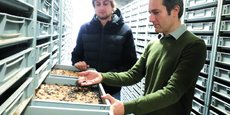 Grâce à sa dernière levée, Invers va pouvoir bâtir un nouveau couvoir de 4.000m², toujours dans le Puy-de-Dôme, qui lui permettra de multiplier d'ici un an ses capacités de production d'insectes par dix pour fournir des protéines destinées à l'alimentation animale.