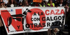 Une manifestation à Madrid, Espagne, contre le fait que les chiens de chasse aient été exclus d'un projet de loi sur les droits des animaux
