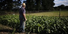 En France, on ne compte plus que 496.000 chefs d'exploitations agricoles, selon le rapport de la Fédération Terre de Liens paru ce mardi.