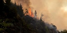Les incendies font rage en Patagonie argentine