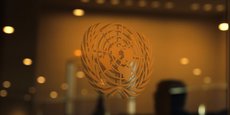 L'ONU a adopté une résolution en faveur de l'ESS portée par quinze pays.