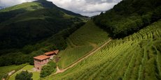 Dans les Pyrénées-Atlantiques, le domaine de Brana cultive 250 hectares de raisin  entre 200 et 400 mètres d'altitude sur des parcelles en terrasse.