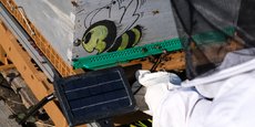 Créée en 2021, la startup bordelaise Miecolo a déjà déployé une trentaine de balances connectées chez des apiculteurs.