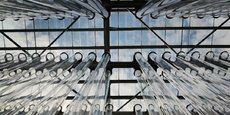 La serre de Inblue à Mèze accueillera 520 photobioréacteurs de 8 mètres de haut pour produire 15 tonnes de spiruline sèche par an.