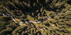 Une forêt située à 45 kilomètres de La Motte-Servolex, en Savoie.