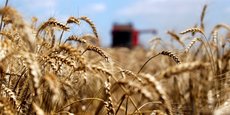 Le G7 a « déploré et condamné la destruction par la Russie des infrastructures d'exportation de céréales ukrainiennes », après que Moscou a refusé en juillet de reconduire l'accord qui permettait à Kiev d'exporter ses céréales.