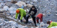 Des bénévolesde l’association Les Week-Ends Solidaires revégétalisent les berges de la Roya (Alpes-Maritimes), le 25 novembre.