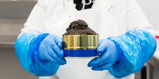 La Nouvelle-Aquitaine concentre les quatre plus gros producteurs français de caviar. Cet or noir se vend à plusieurs milliers d'euros le kilo.