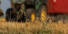 Concrètement, les agriculteurs bio ayant enregistré une baisse de leur excédent brut d'exploitation ou de chiffre d'affaires d'au moins 20% pourront déposer une demande, dès le feu vert européen.