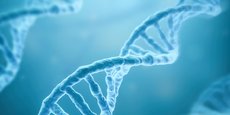 Pour trouver dans l'ADN les marqueurs qui prédisent ces maladies, les chercheurs sont convaincus qu'il faut considérer les combinaisons d'interactions entre les variants, ce que permet désormais la technologie développée par une équipe de chercheurs du CNRS de l'université de Montpellier, du laboratoire IINS de Bordeaux et de la startup montpelliéraine BionomeeX.