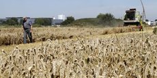 Le mécanisme de plafonnement n'inclut toujours pas le blé tendre et l'orge, comme le souhaitaient plusieurs Etats membres - France, Pologne, Hongrie - à l'unisson des organisations agricoles (Photo d'illustration).