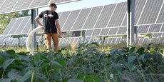 Les producteurs d'énergie photovoltaïque veulent couvrir environ 0,5 % de la surface agricole française.