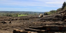 Sur le plateau de Millevaches, une coupe rase effectuée en avril 2024 laboure le paysage.