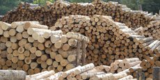 Le Carrefour International du Bois, rendez-vous de référence pour toute la filière forêt bois, revient à Nantes du 28 au 30 mai 2024.