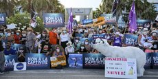 Protestations de membres d'associations de défense animale appelant à la fin de la captivité et de l'exploitation du Marineland d'Antibes, le 16 août 2020.