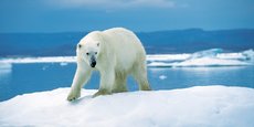 Place de la Bourse à Paris, la sculpture d'un ours sur un iceberg viendra interpeller les épargnants sur les questions d'impact environnemental de nos placements à l'occasion de la semaine de l'investissement responsable.