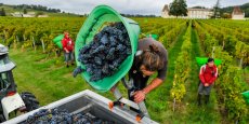 Mis en place au plus fort de la crise économique de la viticulture bordelaise, le plan Bordeaux Demain semble payer