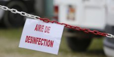 Une période de vide sanitaire est prévue du 17 avril au 28 mai dans les départements du Gers, de la Haute-Garonne, des Landes, des Pyrénées-Atlantiques et des Hautes-Pyrénées.