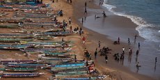 Au Sénégal, les recettes des exportations de poissons frais de mer ont atteint 12,1 milliards de Fcfa durant la période allant de janvier à novembre 2017.
