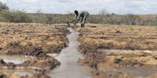 La zone du Sahel, que partagent plusieurs pays africains, subit de plein fouet les changements climatiques avec des périodes de sécheresse. Elle provoque une baisse du rendement agricole et décime le bétail, occasionnant des disettes, de la malnutrition….