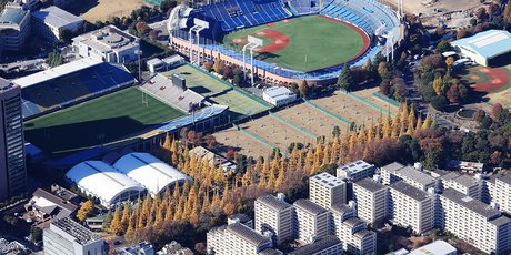 L’allée de ginkgos reliant le Tokyo Metropolitan Gymnasium, utilisé pour les JO de 1964, au stade Kokuritsu, construit pour ceux de 2021, reste l’empreinte la plus visible des Jeux 2021.