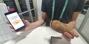Voici Potato, une pomme de terre dotée d'une puce électronique reliée par Bluetooth à une application smartphone.