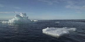 Le géant russe de l'énergie atomique Rosatom a dévoilé mardi un nouveau réacteur destiné à équiper son futur brise-glace à propulsion nucléaire.