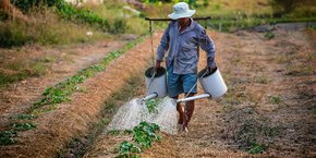 Pour atteindre à l'échelle planétaire l'Objectif de développement durable (ODD 2), Faim « zéro », la FAO et l'OCDE estiment qu'il faudra « plus que tripler la hausse de productivité agricole enregistrée ces dix dernières années ».