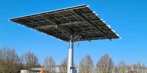 Solarenn a équipé, il y a quelques semaines, son site de conditionnement de Saint-Armel en Ille-et-Vilaine de trackers photovoltaïques de la société Okwind. Cette installation sur mât, qui n'empêche pas de cultiver au sol, pourrait à terme être testée sur des exploitations. A Saint-Armel, elle va permettre de couvrir l’ensemble de la consommation hivernale de la station et près de 15% de la consommation estivale.