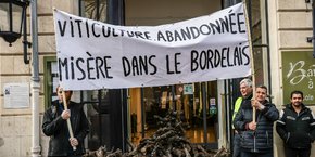 Manifestation Vignerons Bordeaux 6