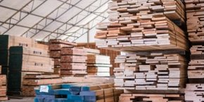 La nouvelle coopérative d'achat Sudcoop, qui opérera sur le sud de la France d'Orange à Montpellier, veut sourcer davantage de bois locaux en circuits courts.