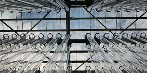 La serre de Inblue à Mèze accueillera 520 photobioréacteurs de 8 mètres de haut pour produire 15 tonnes de spiruline sèche par an.