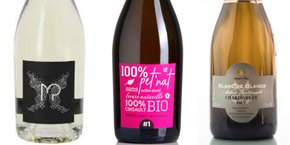 En créant la gamme de vins effervescents Les Bullicieuses, les vignerons de l'IGP du Gard veulent contrer la baisse drastique de consommation de vin, notamment chez la génération Z.