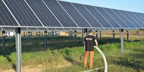 L'agrivoltaïsme consiste à déployer des panneaux solaires sur des terres cultivées où la production et le rendement agricoles doivent se maintenir.