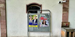 Sandra Regol (EELV) a été réélue dans la première circonscription de Strasbourg avec 58,8 % des voix face à Etienne Loos, candidat de la majorité présidentielle.