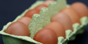 Depuis 2016, la quasi-totalité de la grande distribution, ainsi qu'une partie de la restauration hors foyer et l'industrie, se sont engagées sur la fin des œufs de poules en cage dès 2025.