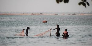 Sénégal Sine-Saloum