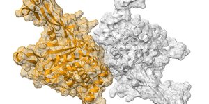 Qubit Pharmaceuticals