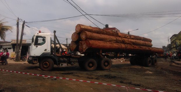 grumes billon cameroun transport Douala Cameroun