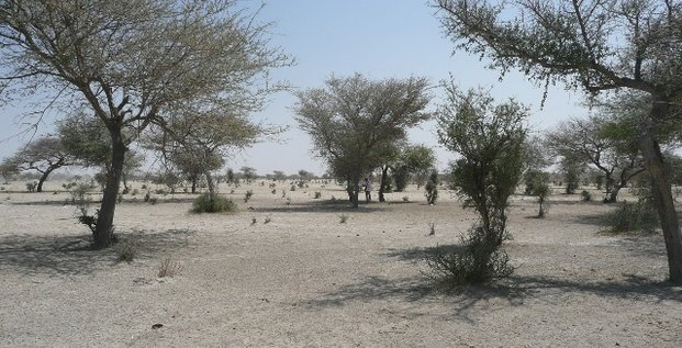 Sahara Sahel climat sécheresse