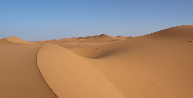 ALTDE_Un désert plus vert grâce aux éoliennes