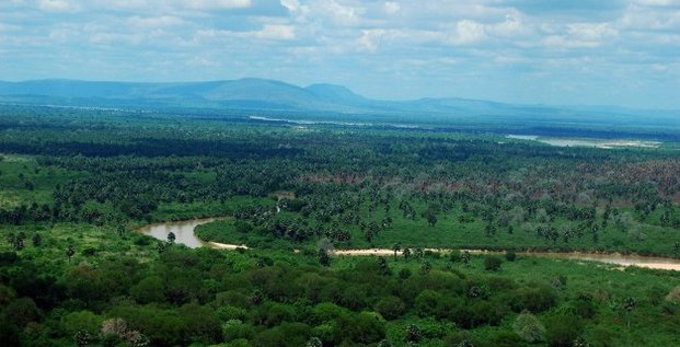 Rufij River Selous Tanzanie