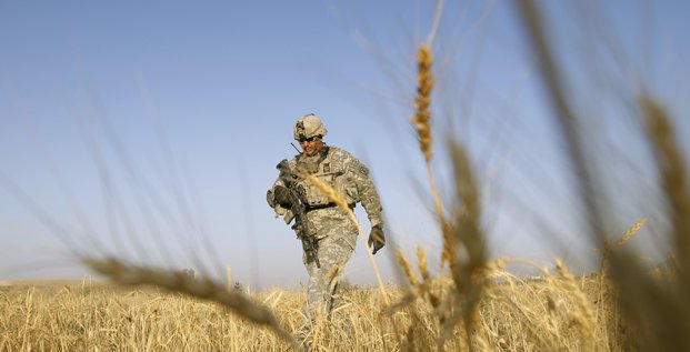 Champ de blé, soldat, Afghanistan, Armée US, Etats-Unis, patrouille militaire,