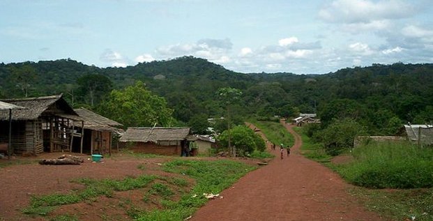 Ngoila Congo forêt