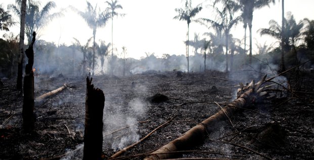 Amazonie, jungle, déforestation, incendie, Bolsonaro, fôret primaire,